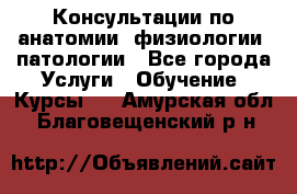 Консультации по анатомии, физиологии, патологии - Все города Услуги » Обучение. Курсы   . Амурская обл.,Благовещенский р-н